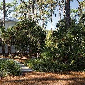 thumbnail for publication: Florida-Friendly Landscaping™ Pattern Book: Sample plant lists and designs for four Florida regions: USDA Hardiness Zones 8A and 8B, North Florida